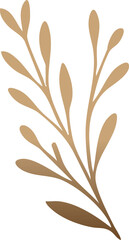 A minimalistic illustration of a golden-brown botanical branch with elongated leaves on a white background.