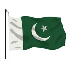 Pakistan Flag: A Detailed Visual Representation