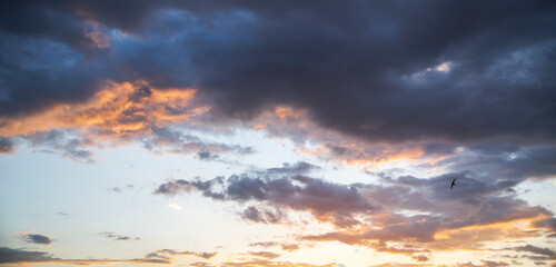 Beautiful bright sunset sky background with clouds.  Evening time.
