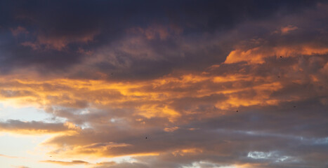Beautiful bright sunset sky background with clouds.  Evening time.