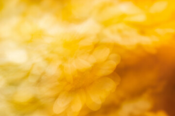 A colorful abstract background with soft, blurred colors