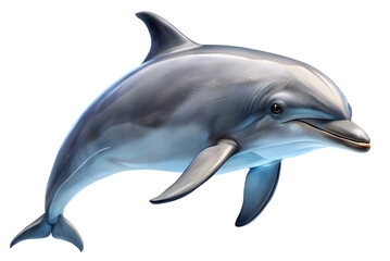 Fototapeta premium A dolphin swimming isolated on transparent background