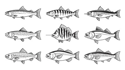 Fish Vector Set &ndash; Hand-Drawn Illustrations of Trout, Bass, and Marlin for Fishing Logos, T-Shirts, Stickers, and Outdoor or Wilderness Design Concepts