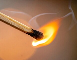 Close-up of a Burning Wooden Match with Smoke