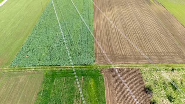 Aerial view of diverse agricultural fields showcasing different crop patterns and colors, with power lines running through the landscape under sunny weather.
