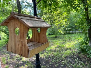 Wooden bird feeder in the park, Bird care