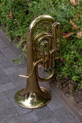 Shiny brass euphonium standing on cobblestone next to green bushes