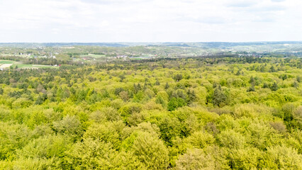 Obraz premium Aerial view of a lush green forest landscape under a bright sky, showcasing the vibrant leaves of deciduous trees in springtime, enhancing natural beauty and tranquility.