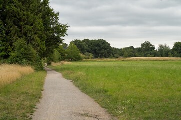 Gravel path winding through green meadow and forest on cloudy day