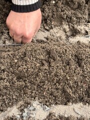 Gardening Hand Putting Seed in Earth