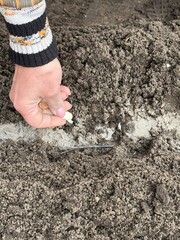 Spring Gardening: Hand Planting Garlic Clove in Ground