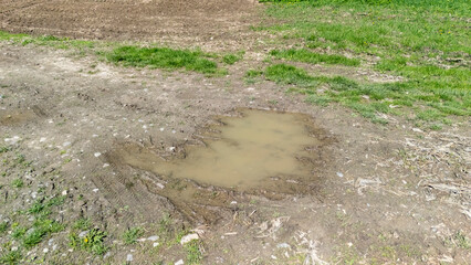 A muddy puddle on a rural dirt path surrounded by green grass and cultivated land, illustrating the...