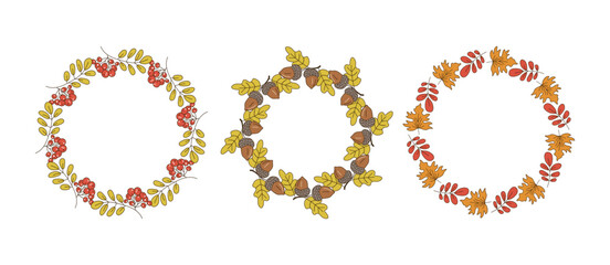 Round frame set, banner autumn. Leaves, acorns, berries, wreath, leaf fall, doodles, drawings. Natural botanical background.