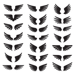 Fototapeta premium Various black wing silhouettes isolated on white background