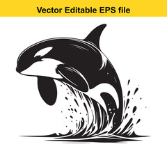 Majestic Orca Leaping Gracefully From the Ocean, Vector Illustration of Marine Wildlife © Shah