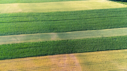 Aerial view of colorful agricultural fields with vibrant green and golden stripes under clear blue...