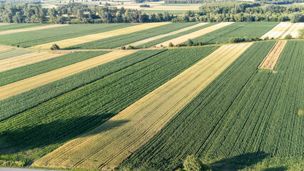 Aerial view of lush green and golden agricultural fields, showcasing a patchwork of crops and...