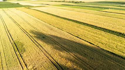 Aerial view of vast agricultural fields showcasing vibrant green and yellow crops, beautifully...