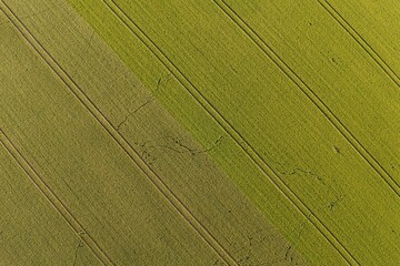 Top view of field at sunrise in summer