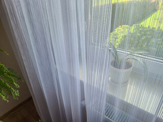 Sheer curtains frame a bright window with sunlight streaming in, revealing a small potted plant on...