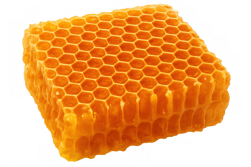Honeycomb pattern revealing golden-hued hexagonal cells, containing pure honey, set against transparent background highlighting geometric precision