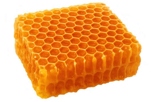 Honeycomb pattern revealing golden-hued hexagonal cells, containing pure honey, set against transparent background highlighting geometric precision