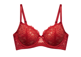 Red Lace Womens Bra Undergarment Apparel Lingerie isolated on a transparent background