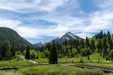 Panoramic view over the Donut Falls Boardwalk, green mountains and feather clouds in sky in Big Cottonwood Canyon with trail to a Donut Falls waterfall just outside Salt Lake City, UT, USA