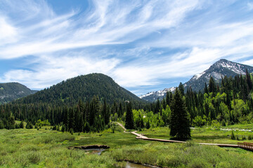 Panoramic view over the Donut Falls Boardwalk, green mountains and feather clouds in sky in Big Cottonwood Canyon with trail to a Donut Falls waterfall just outside Salt Lake City, UT, USA