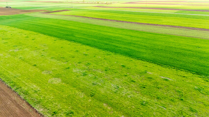Obraz premium Aerial view of vibrant green farmland with varying shades of grass, showcasing agricultural fields and rich textures under bright sunlight in springtime.