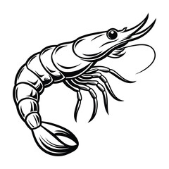 Shrimp silhouette illustration on white background