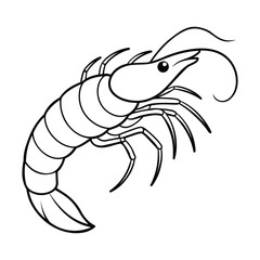 Shrimp silhouette illustration on white background