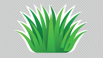 aloe vera plant in pot