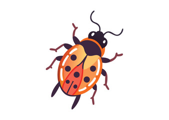 Fototapeta premium Ladybug beetle flying animal Vector