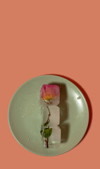Creative arrangement of pink flower in ice cubes on the plate. Sunny day concept. Copy space