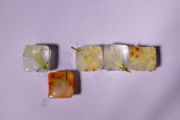 Creative arrangement of colorful flowers in ice cubes on pastel violet background. Sunny day...