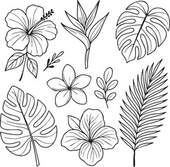 Tropical botanical line art set, hand drawn hibiscus flowers and palm leaves illustration, black and white minimal doodle floral sketch