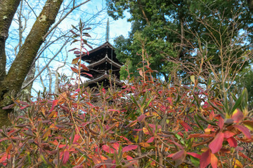 The dark wood of the historic five-story pagoda at Ninna-ji Temple is artistically viewed through a foreground of out-of-focus red and green leaves, creating a soft, dreamlike impression of Kyoto.