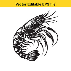 Fototapeta premium Monochrome Shrimp Illustration Detailed Seafood Design for Print Media and Seafood Marketing Materials Black and White Artwork