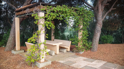 Relaxing outdoor seating area surrounded by trees and greenery in a tranquil park setting
