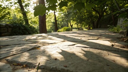 Sunlight streams through trees onto a stone path