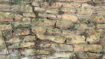 Ancient wall stone masonry in fence around the house, large and small stones.