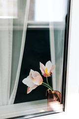 Pink orchids in a copper vase add a touch of elegance next to a sheer curtain. A delicate floral...