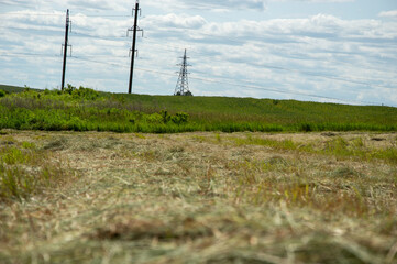 A haymaker tends to freshly cut hay in a vibrant green field with electric poles against a backdrop...