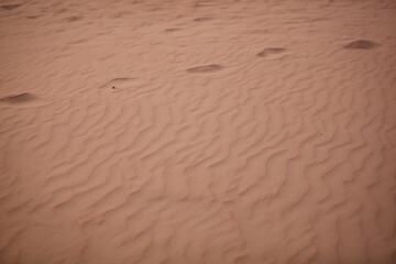 footprint in the sand