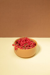 Red fruit of currant in bowls. Health concept. Copy space