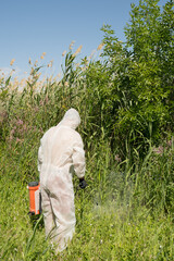 A man in a protective suit processes reeds using a poison sprayer. Weed killer. Destruction of...