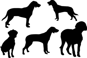 Finnish hound dog silhouette, Finnish hound SVG, dog breed SVG, dog breed SVG