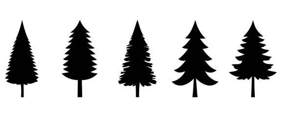 Fototapeta premium Pine species vector collection conifer varieties Christmas tree farm art for botanical guides outdoor branding and seasonal decor
