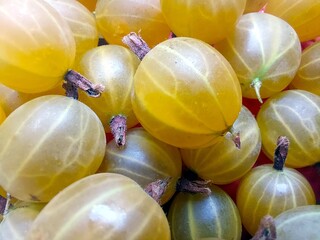 Fresh Gooseberry Berries Showcasing Unique Texture and Color in Outdoor Market Setting